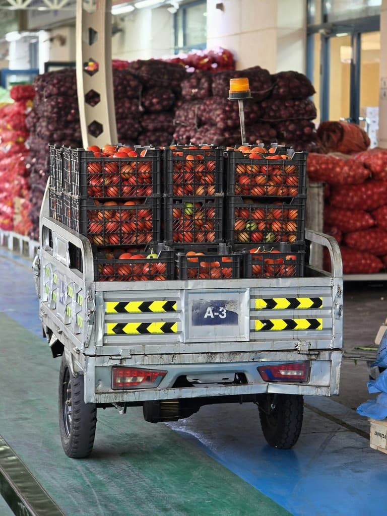 Errores operativos en pedidos y entregas